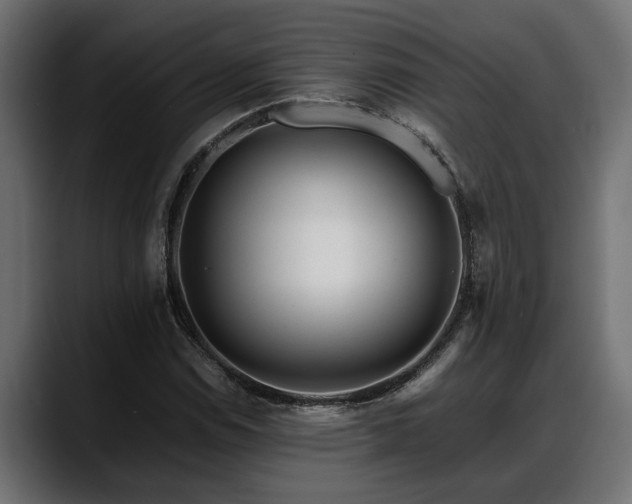 X0000088361114200705291302