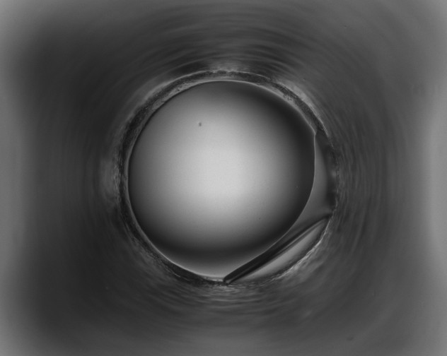 X0000088361115200705291302