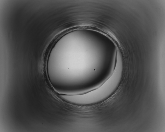 X0000088361116200705291302