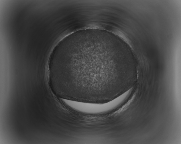 X0000088361117200705291302