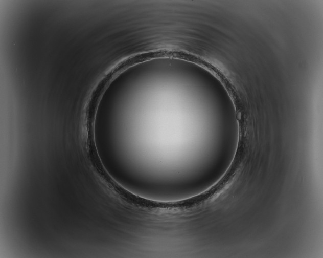 X0000088361118200705291302