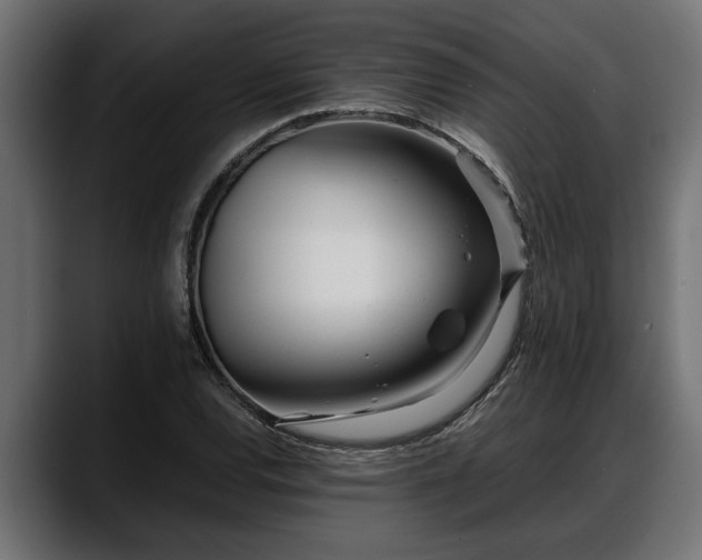 X0000088361120200705291302