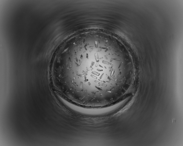 X0000088361121200705291302