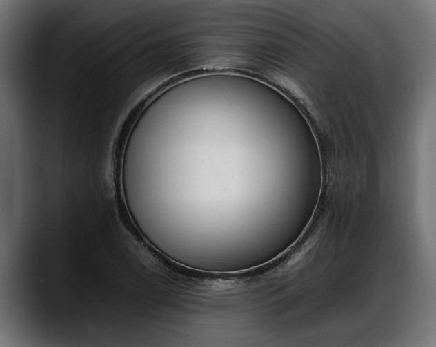 X0000088361122200705291302