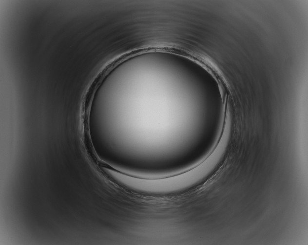 X0000088361124200705291302