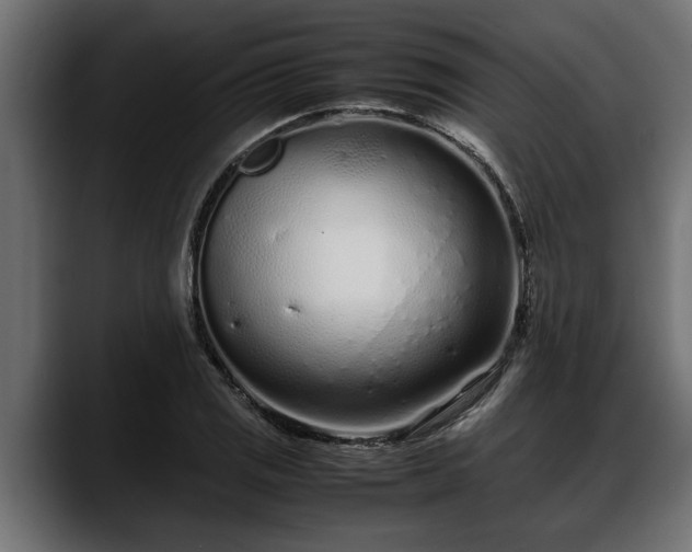 X0000088361125200705291302