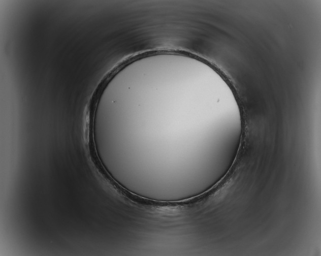 X0000088361126200705291302