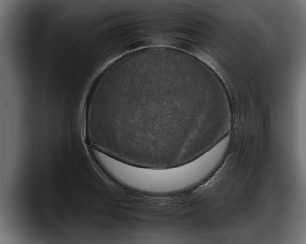 X0000088361127200705291302