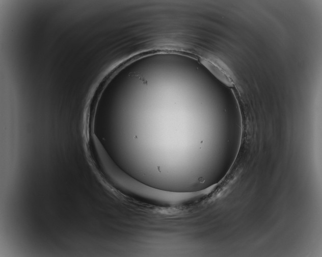 X0000088361128200705291302