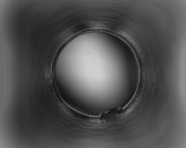 X0000088361129200705291302