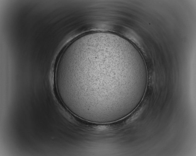 X0000088361130200705291302