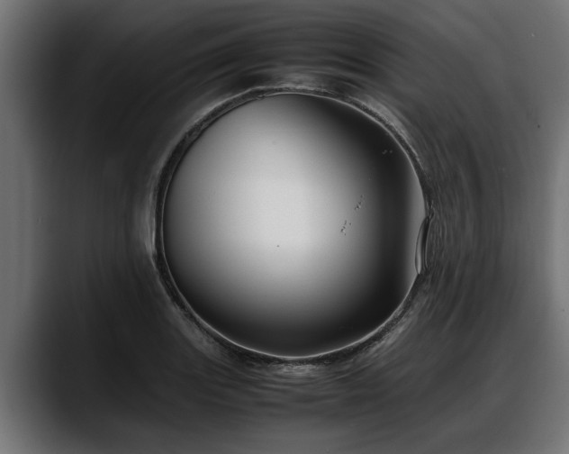 X0000088361131200705291302