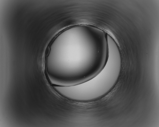 X0000088361132200705291302