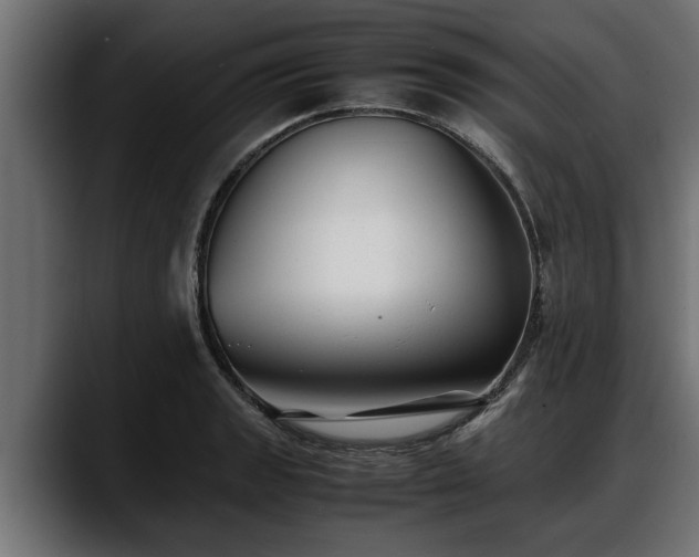 X0000088361133200705291302