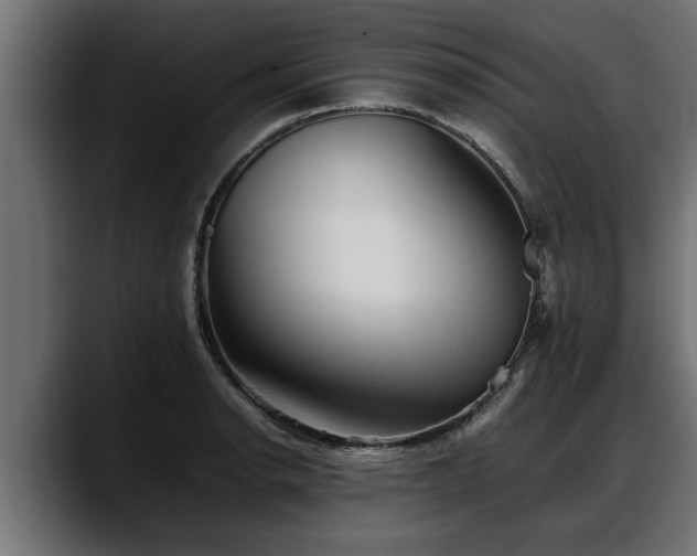 X0000088361134200705291302