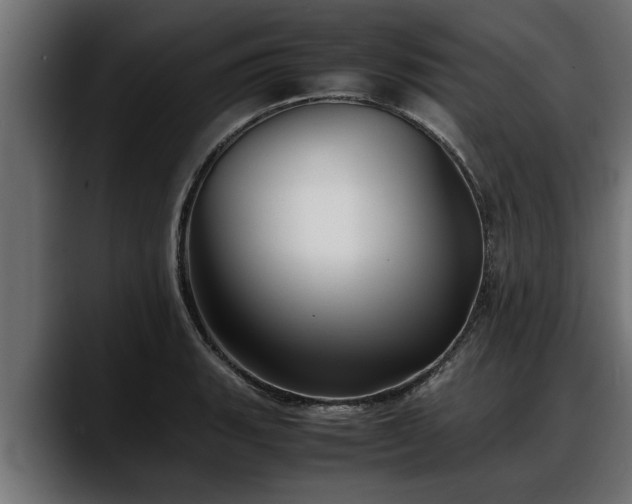 X0000088361135200705291302