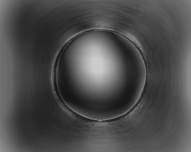 X0000088361136200705291302