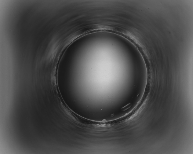 X0000088361137200705291302