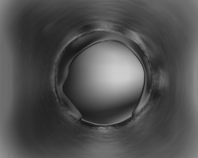 X0000088361138200705291302