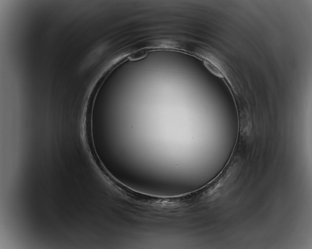 X0000088361139200705291302