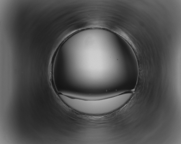 X0000088361140200705291302