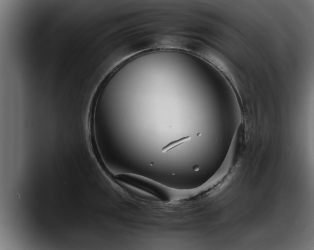 X0000088361141200705291302