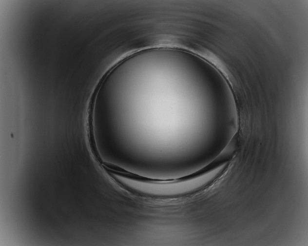 X0000088361142200705291302