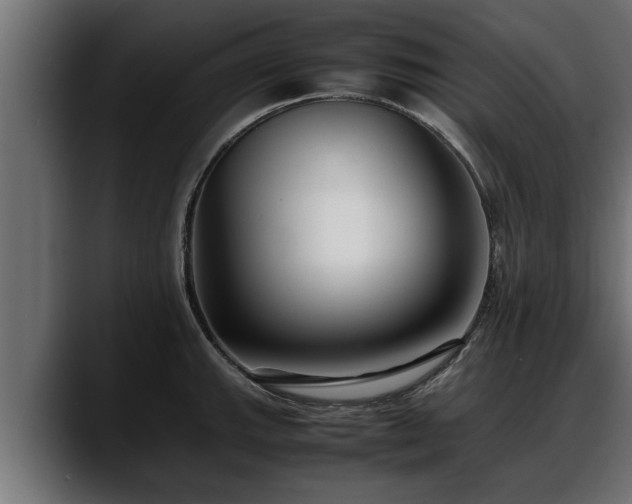 X0000088361143200705291302