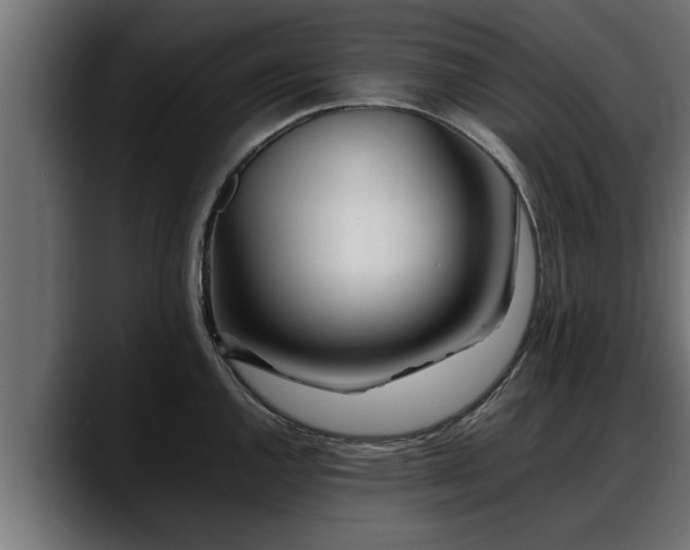 X0000088361144200705291302