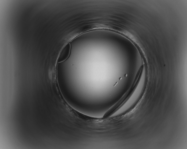 X0000088361145200705291302