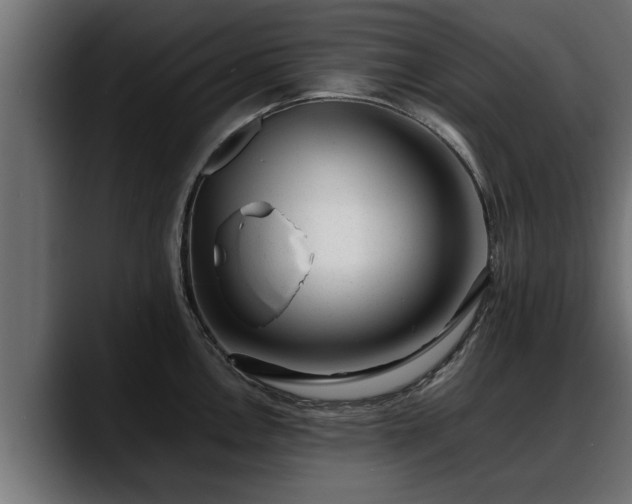 X0000088361146200705291302