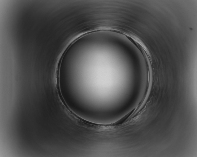 X0000088361148200705291302