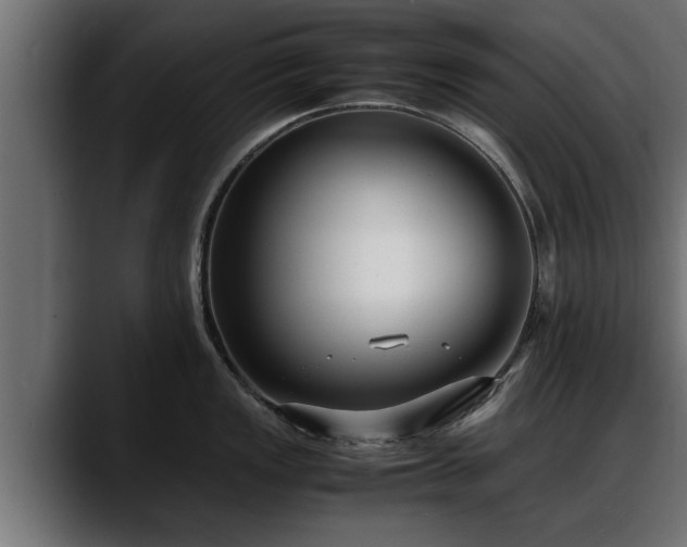 X0000088361149200705291302