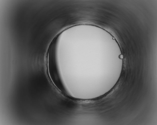 X0000088361150200705291302