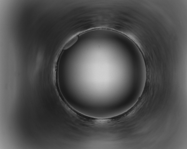 X0000088361151200705291302