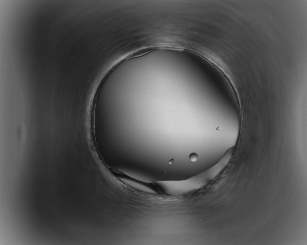 X0000088361152200705291302