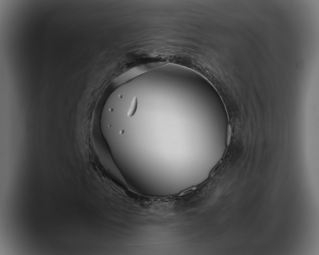 X0000088361153200705291301