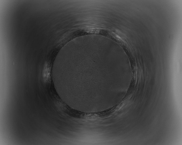 X0000088361154200705291301