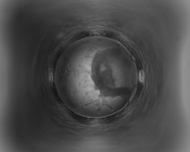 X0000088361155200705291301