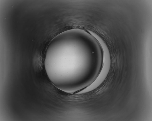 X0000088361156200705291301