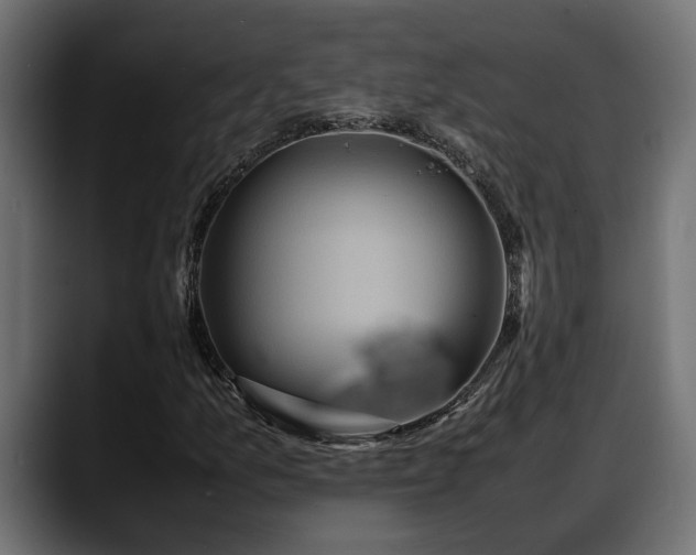 X0000088361157200705291301