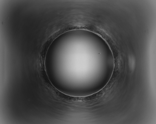 X0000088361158200705291301