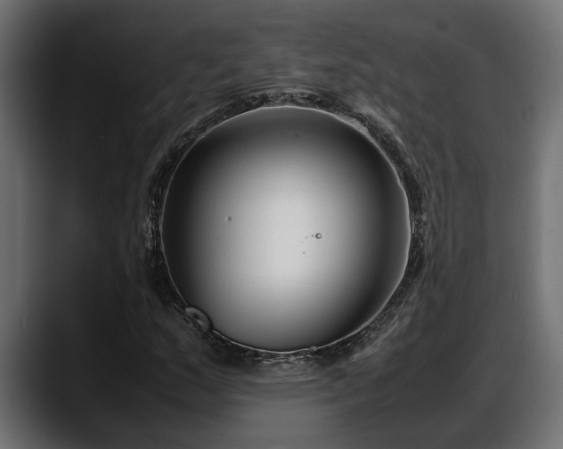 X0000088361159200705291301