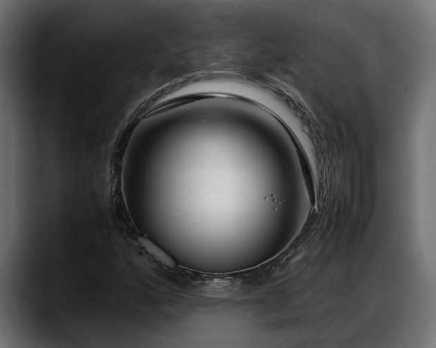 X0000088361160200705291301