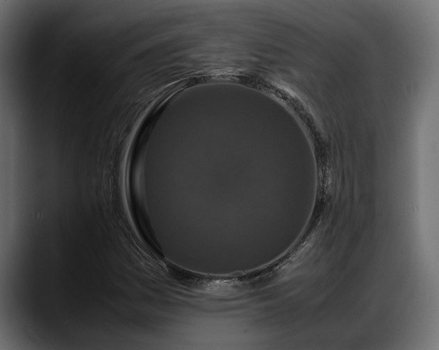 X0000088361161200705291301