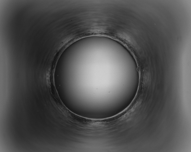 X0000088361162200705291301