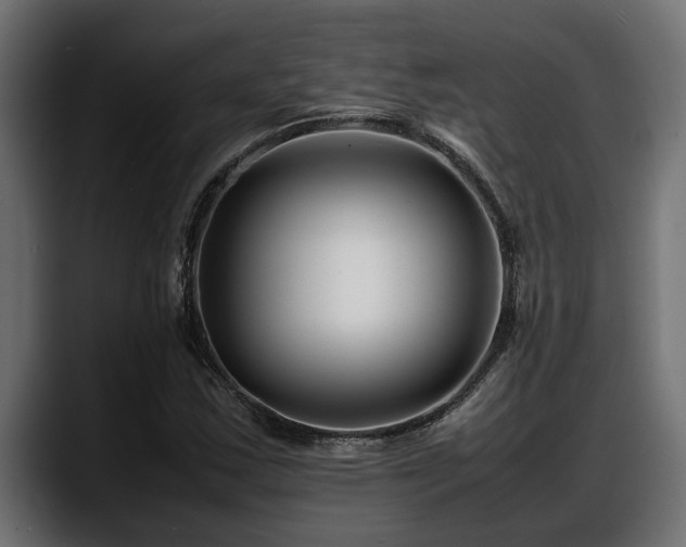 X0000088361163200705291301