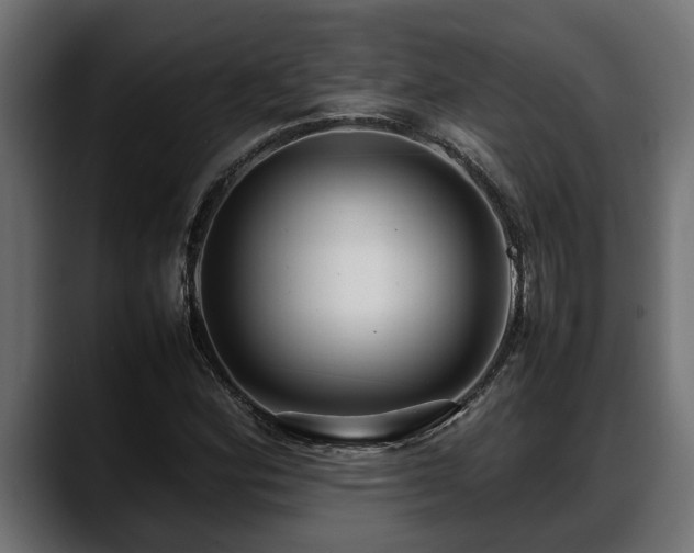 X0000088361164200705291301