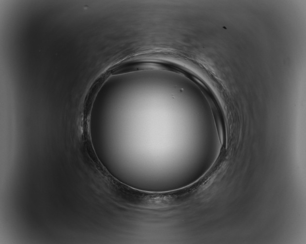 X0000088361165200705291301