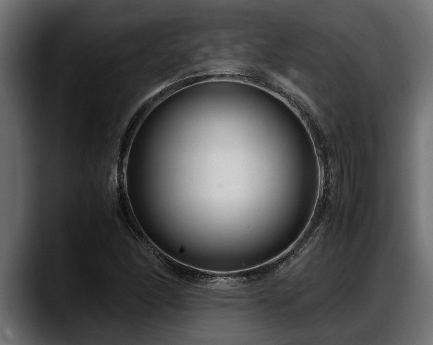 X0000088361166200705291301